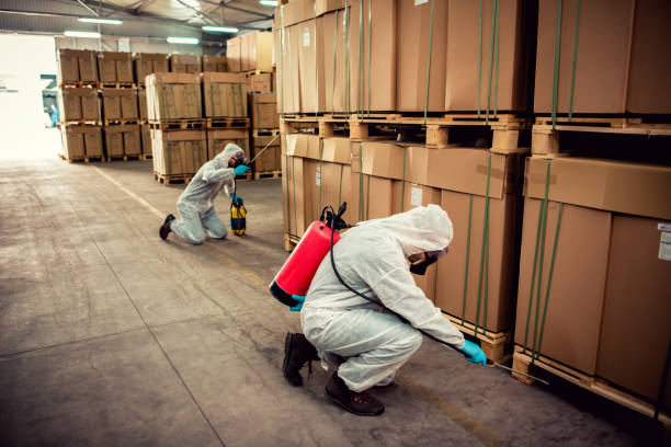 Best Pest Prevention Services  in Lakeville, MN