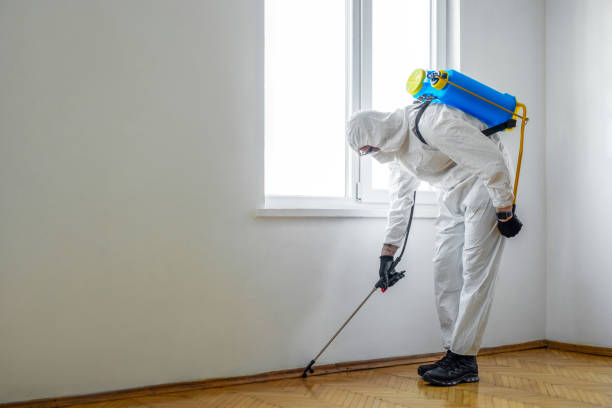 Trusted Lakeville, MN Pest Control Experts