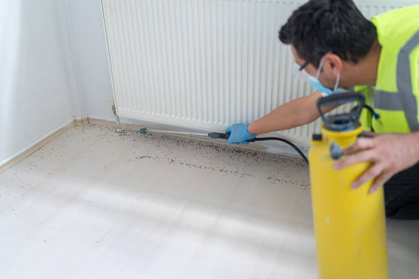 Best Flea Control Services  in Lakeville, MN
